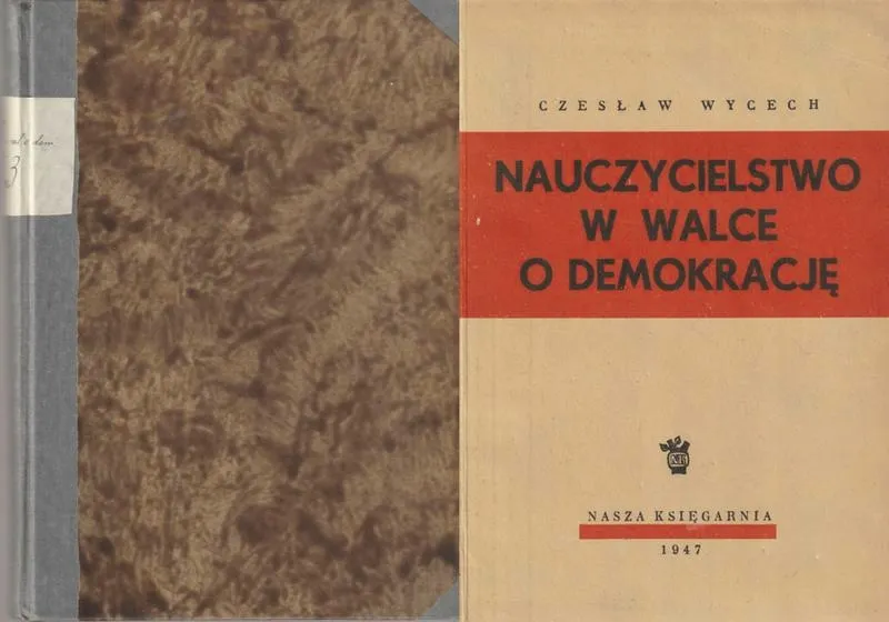 Ile zarabia nauczyciel po oligofrenopedagogice? Sprawdzamy realia finansowe w edukacji
