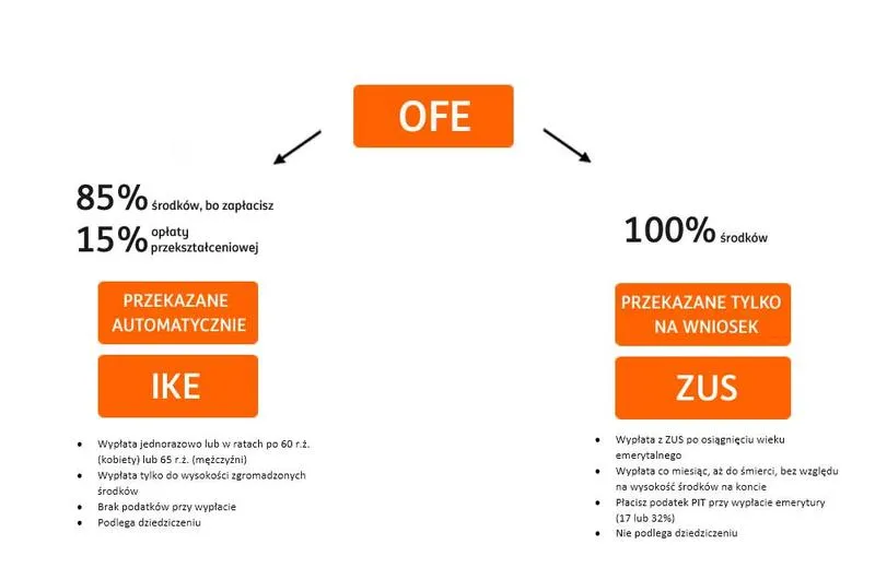 Jak skutecznie sprawdzić swoje pieniądze z OFE?