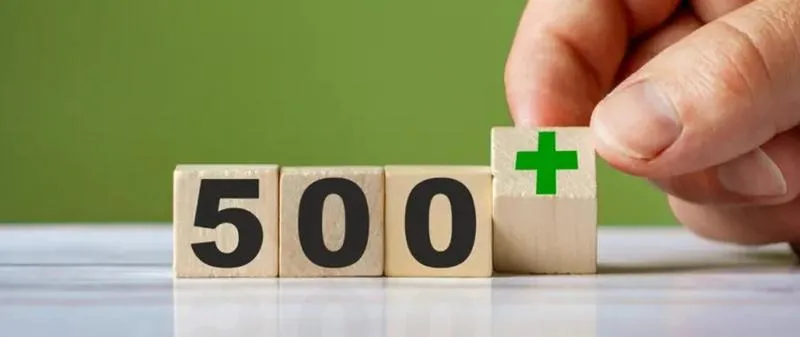 Kryteria dochodowe 500+