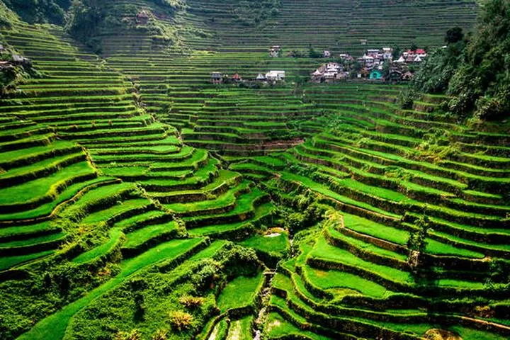 Najlepiej płatne branże Filipiny