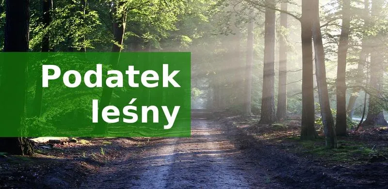 Podstawy podatków i odliczeń