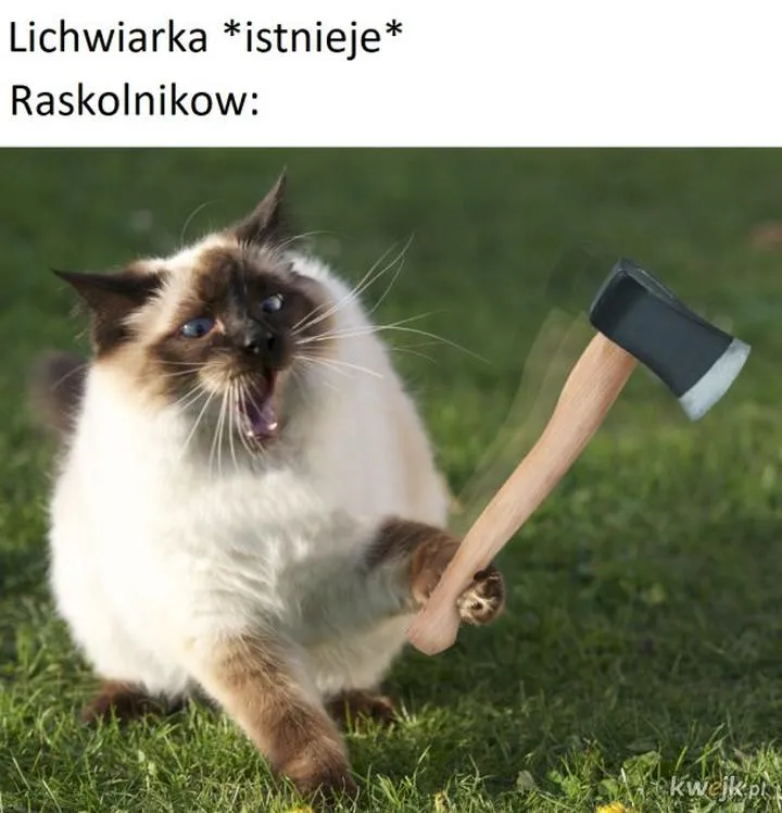 Rola pieniędzy w Zbrodni i karze