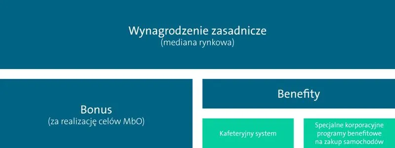 Zarobki od junior do executive